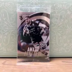 ファカタヴァ JAPAN RUGBY LEAGUE ONE メタリックプラカード