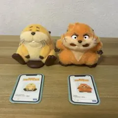 TOPTOY　私がビーバーになる時　2個セット