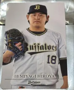 Item thumbnail for item 685844ec-1db3-48e5-b9ff-3591f697d347