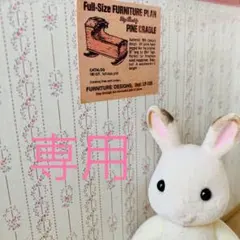 ぴろ様専用