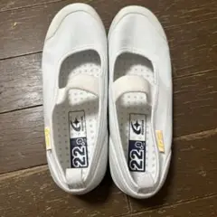 ムーンスター 上履き 22.0cm ホワイト