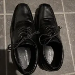 Item thumbnail for item 2aeb8db6-3296-4418-9aab-e0576e58afe7