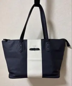 Item thumbnail for item 79c36fae-d94b-4991-945e-3fb9be87b3af