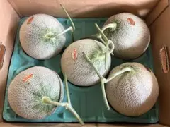 【地域によって値引き】夕張メロン個選品5玉　1玉約1.6kg※掲載は九州価格のサムネイル