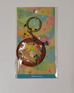 希少✨️ ポケモンセンター 横浜限定 ロゴキーホルダー 2003年 - メルカリ