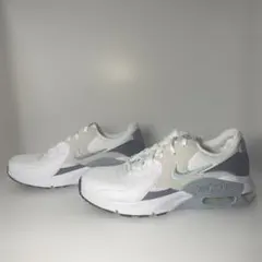 NIKE W エアマックスエクシー　ウィメンズサイズ27.5センチ