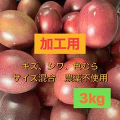 数量限定】パッションフルーツ 5kg S～2L混合 - メルカリ