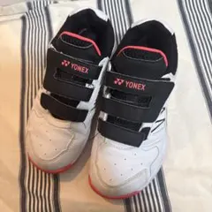 Item thumbnail for item f727569d-12e2-47ec-ac66-3917970a2514