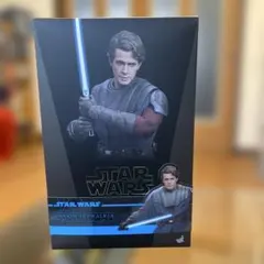 2025年最新】ホットトイズ アナキン・スカイウォーカーの人気アイテム