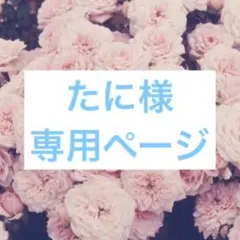 キンジー様リクエスト 帯 - メルカリ