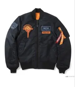 2026年最新】STRICT-G ALPHA INDUSTRIESの人気アイテム - メルカリ