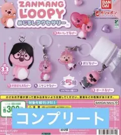 ZANMANG LOOPY めじるしアクセサリー 全5種セット