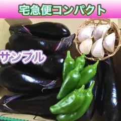 農薬不使用　野菜セット　宅急便コンパクト