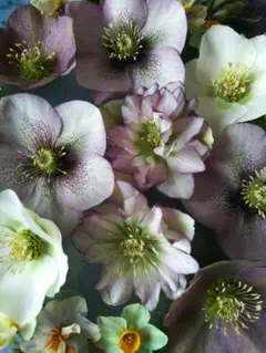 らてさら様 リクエスト 2点 まとめ商品