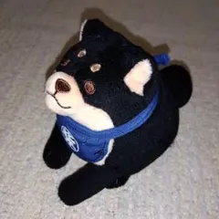 Item thumbnail for item a4a1538d-d3f3-45fa-90a4-cc19eeba1ae7