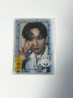 Stray Kids Lee Know フォトカードスリーブセット