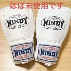 【ほぼ未使用】WINDY ボクシンググローブ　レディース　Sサイズ