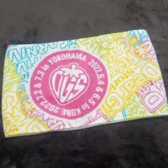 DGS 15年祭　マフラータオル