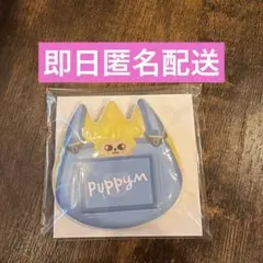2026年最新】straykids スンミン 缶バッジの人気アイテム - メルカリ