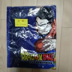 Item thumbnail for item a868656f-cf36-4334-b79a-8314330e89cc