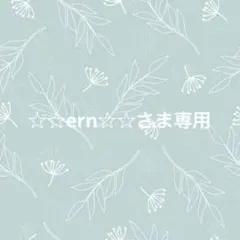 ☆☆ern☆☆さま専用