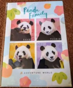 Item thumbnail for item e8e21b76-638e-436a-84a0-88487f071059