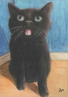 色鉛筆画90 A4 黒猫「おかえりなさい」 - メルカリ