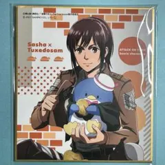 2026年最新】サシャブラウスの人気アイテム - メルカリ