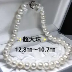 Item thumbnail for item 8883973d-43e7-4a1a-a87f-3a87eaf08b6f