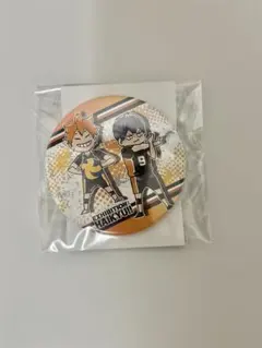 コレ缶 SD 日向 影山