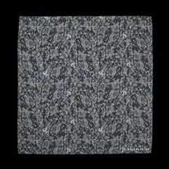 Item thumbnail for item c39c3871-ba29-48ac-bd56-18e4cf059ec4