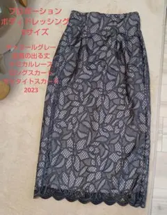 プロポーションボディドレッシング✩S✩チャコール✩ケミカルレース✩タイトスカート
