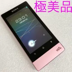 2025年最新】NW-F805の人気アイテム - メルカリ