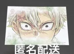 鬼滅の刃 不死川実弥 ランダムキャンバスカード 柱展