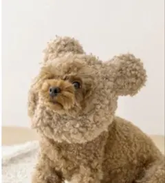 スリコ ペット用イヤーマフ 犬 スリーコインズ　3coins 耳当て　ベージュ