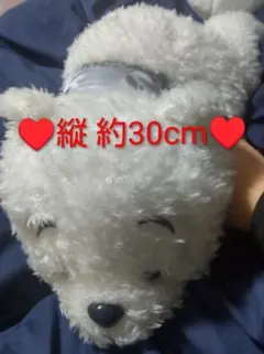 【即購入⭕️削除予定】Winnie the Pooh ぬいぐるみ 約30cm