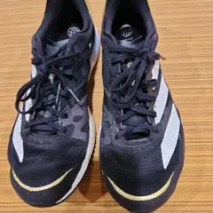 Item thumbnail for item 2103651d-be63-45c5-9340-3b59179f18bf