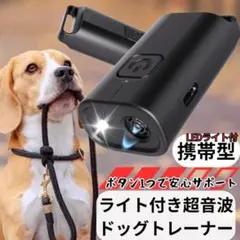 Item thumbnail for item aae51751-dfa5-4398-9b0d-f698a74b6294