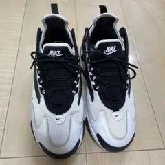 Nike Zoom2K White Black 25センチ