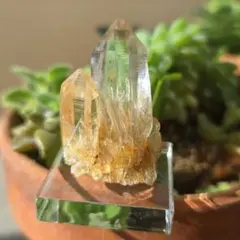四川省産 エピドート（緑簾石）共生水晶 結晶鉱物標本 美結晶 天然石