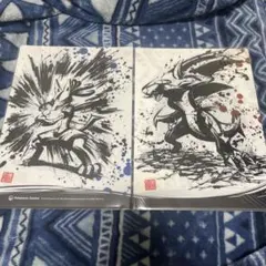 ラプラス様 リクエスト 2点 まとめ商品