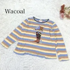 s2637【ワコール】長袖 カットソー ロンT プリント カラフル ボーダーのサムネイル