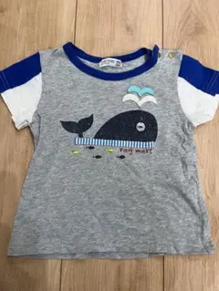 Item thumbnail for item 91490841-a358-4de0-8d94-bf4cf15f8f23