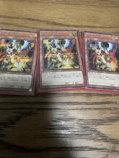ドロール＆ロックバードのシークレット6枚セット