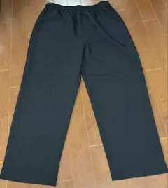 134 大きいサイズ　ブラック　パンツ　レギンス　LLサイズ　プロバドール