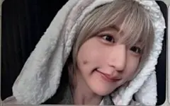 ウォンビン トレカ タレントカード