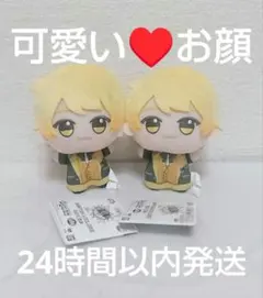 AMPTAKxCOLORS ちびぐるみ あっきぃ 2点セット