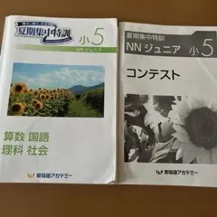 2026年最新】早稲アカ 小5の人気アイテム - メルカリ
