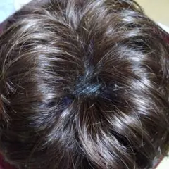 フォンテーヌ　ヴァラン　ナチュラルショートリバース　ウィッグ　VM28 F2B 2025年最新】フォンテーヌ ヴァランの人気アイテム - メルカリ