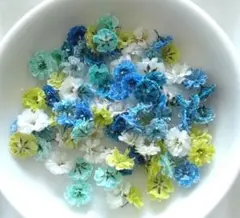 No,441☘️かすみ草のドライフラワー